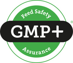 Gmp 01