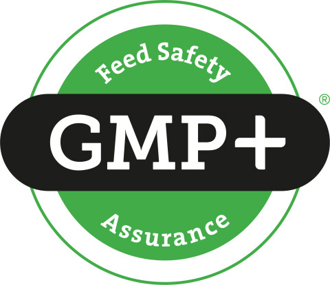 Gmp 01